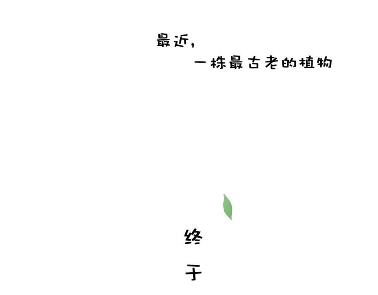 《神奇植物店》序幕 山洞深处的蓝色光芒 第5页