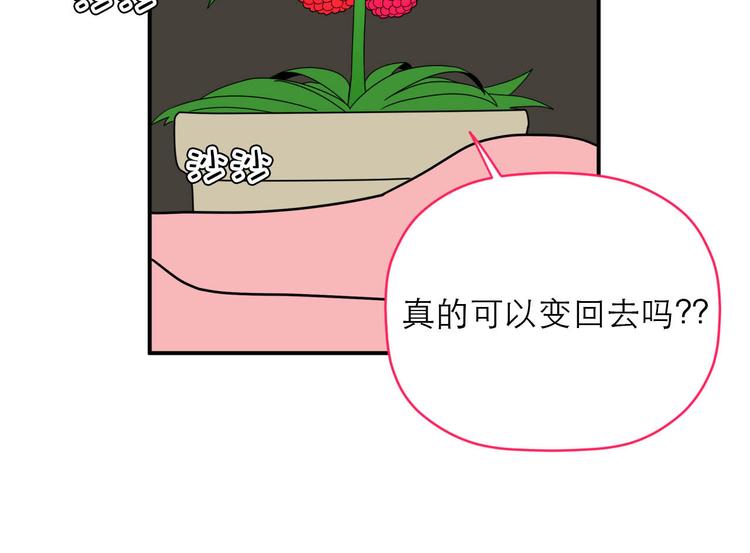 《神奇植物店》第6话 瞬移,1860年! 第4页
