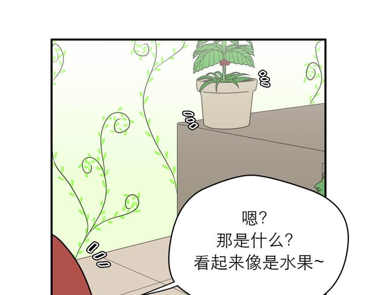 《神奇植物店》第5话 植物店的东西不能乱吃哟 第16页