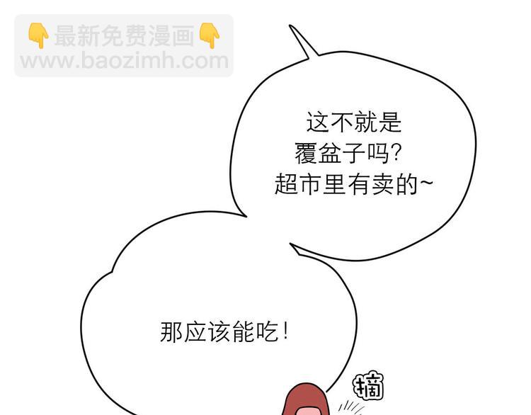 《神奇植物店》第5话 植物店的东西不能乱吃哟 第20页