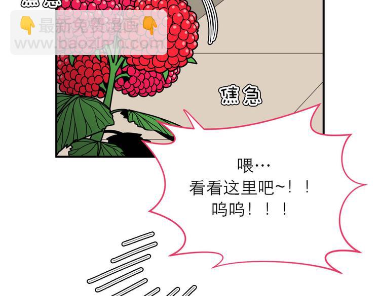 《神奇植物店》第5话 植物店的东西不能乱吃哟 第50页