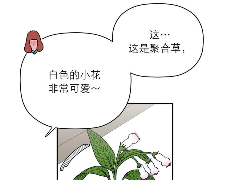 《神奇植物店》第9话 突如其来的不速之客 第29页