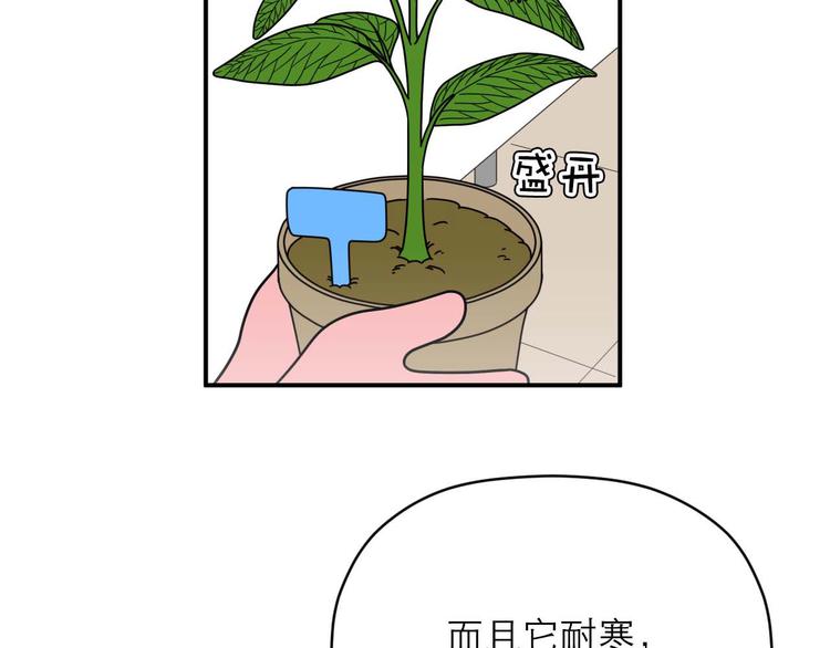 《神奇植物店》第9话 突如其来的不速之客 第30页