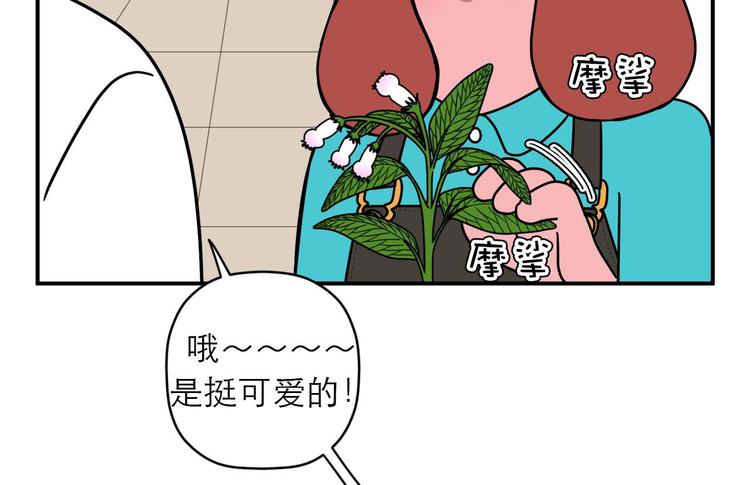 《神奇植物店》第9话 突如其来的不速之客 第32页