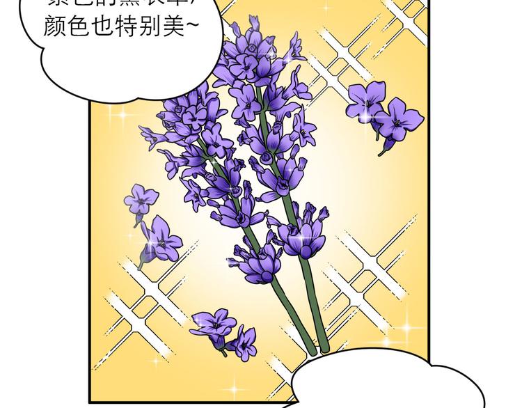 《神奇植物店》第14话 双十一来啦！ 第22页