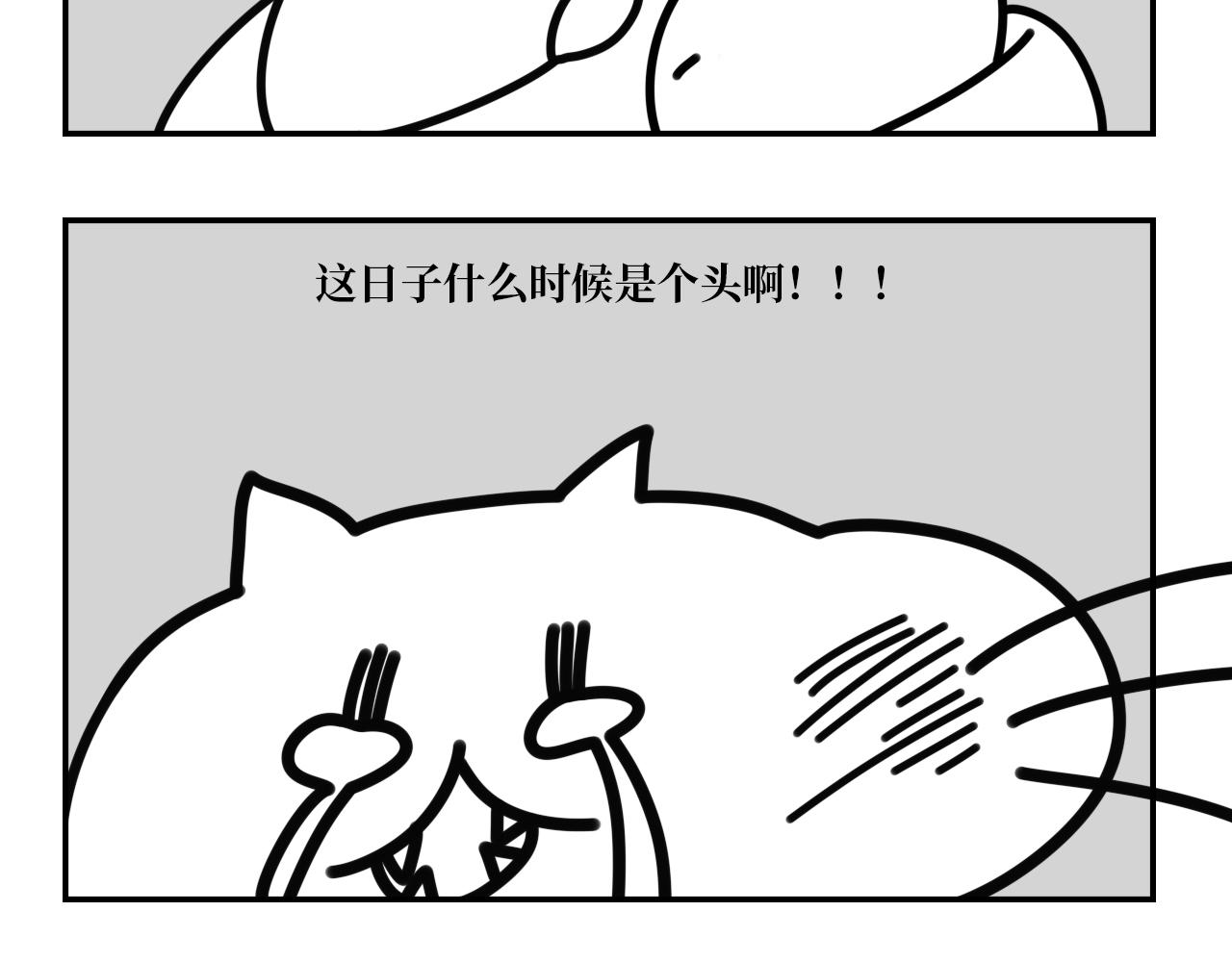 《长脸猫和小猫崽子》3.热闹的早上 第12页