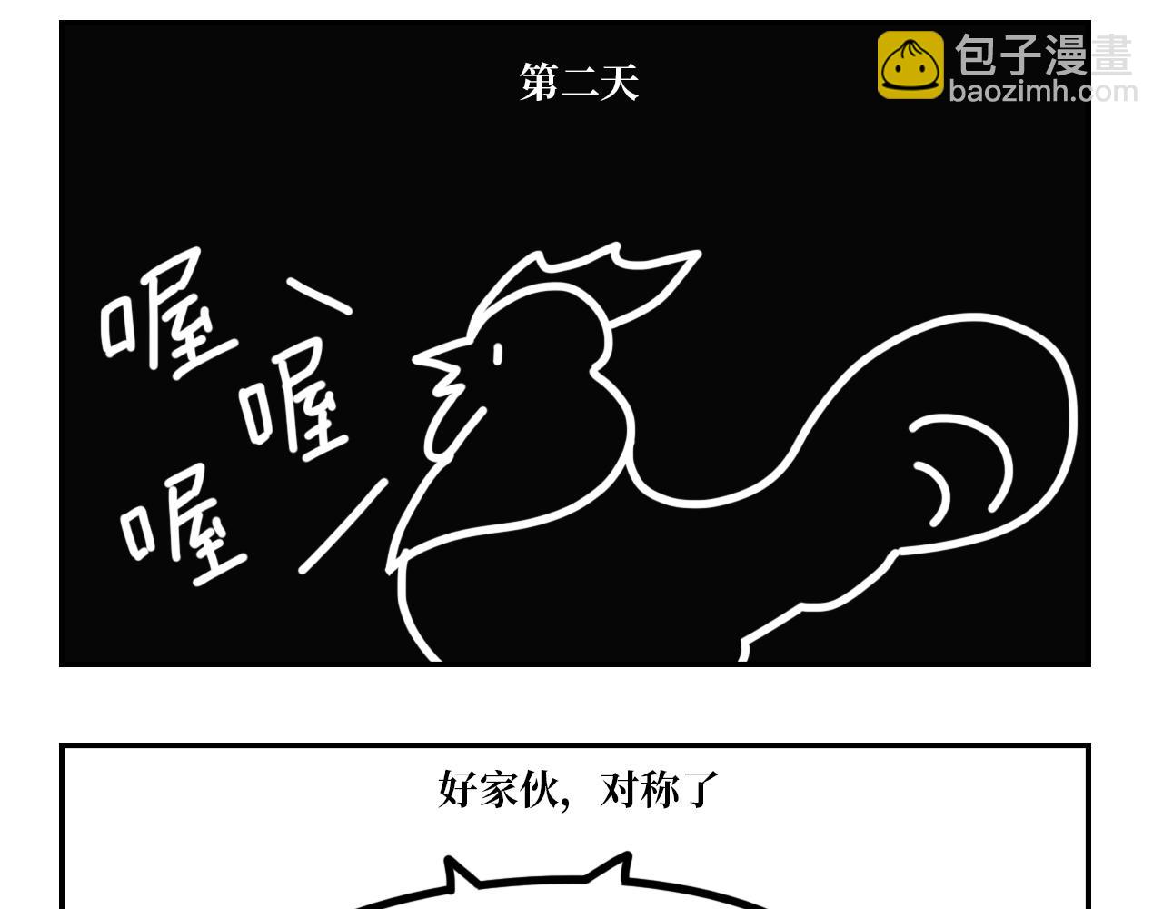 《长脸猫和小猫崽子》3.热闹的早上 第13页