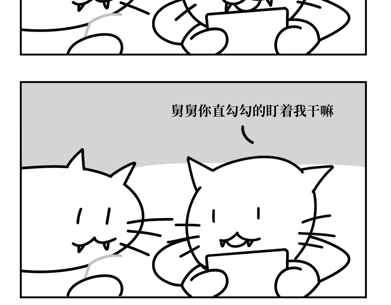 《长脸猫和小猫崽子》3.热闹的早上 第4页