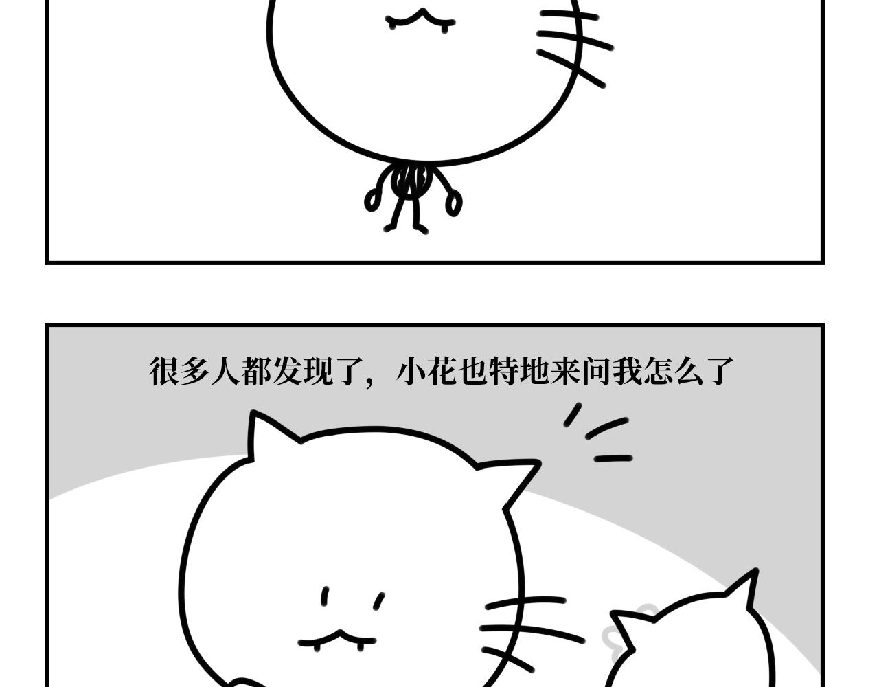 《长脸猫和小猫崽子》13.长脸猫的往事（下） 第3页