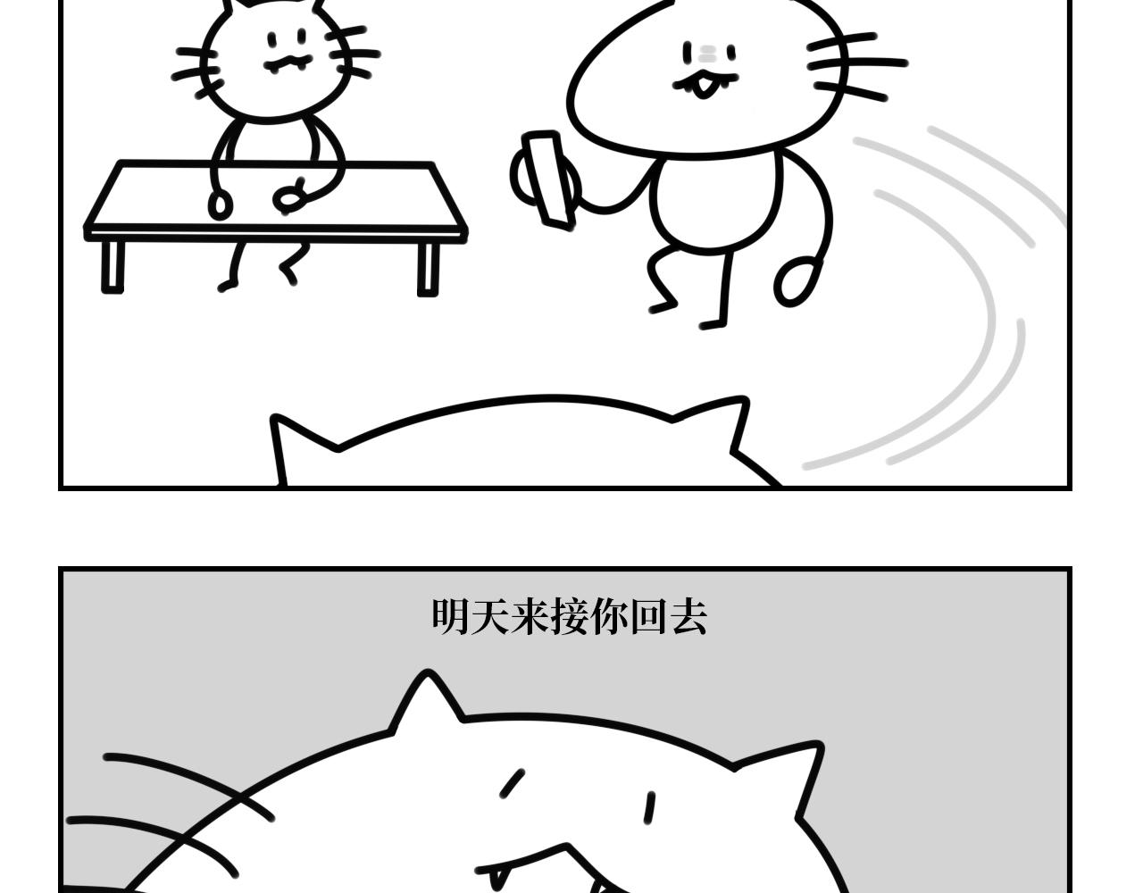 《长脸猫和小猫崽子》14.小猫崽子妈妈来电 第10页