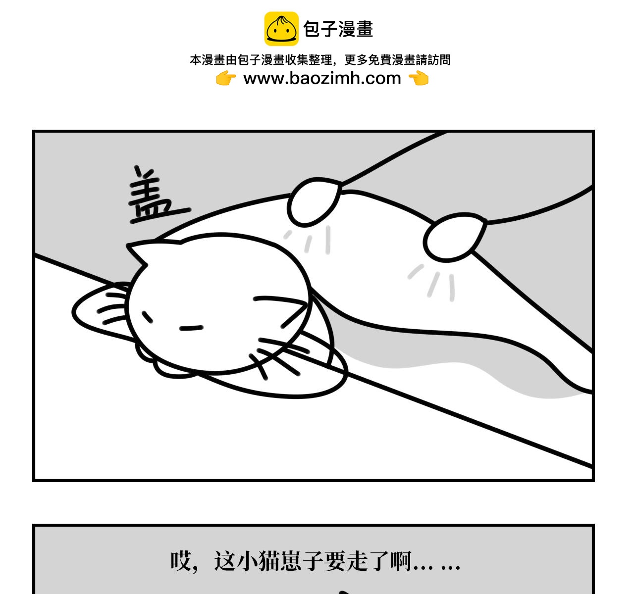 《长脸猫和小猫崽子》14.小猫崽子妈妈来电 第18页