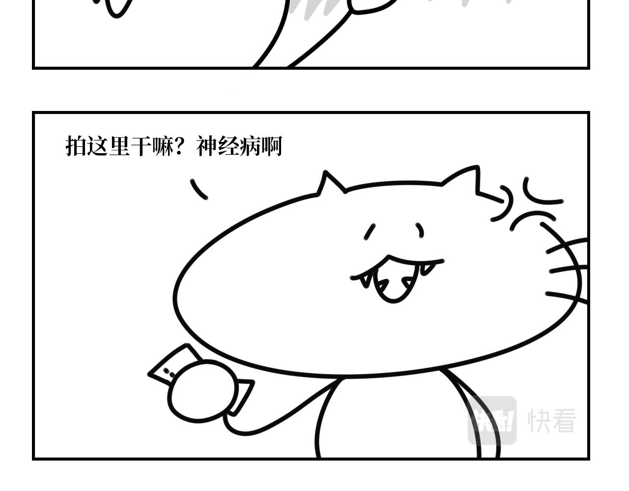 《长脸猫和小猫崽子》15.离别将至 第12页