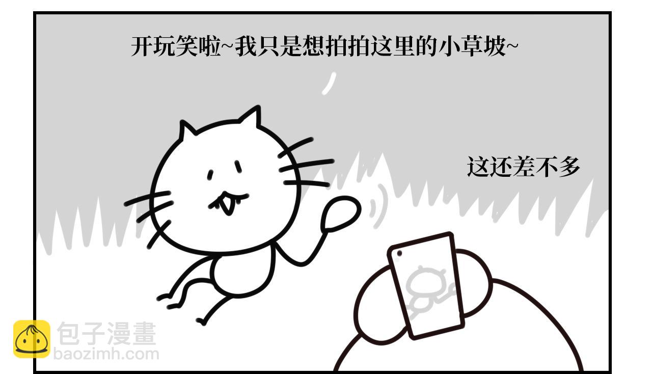 《长脸猫和小猫崽子》15.离别将至 第13页