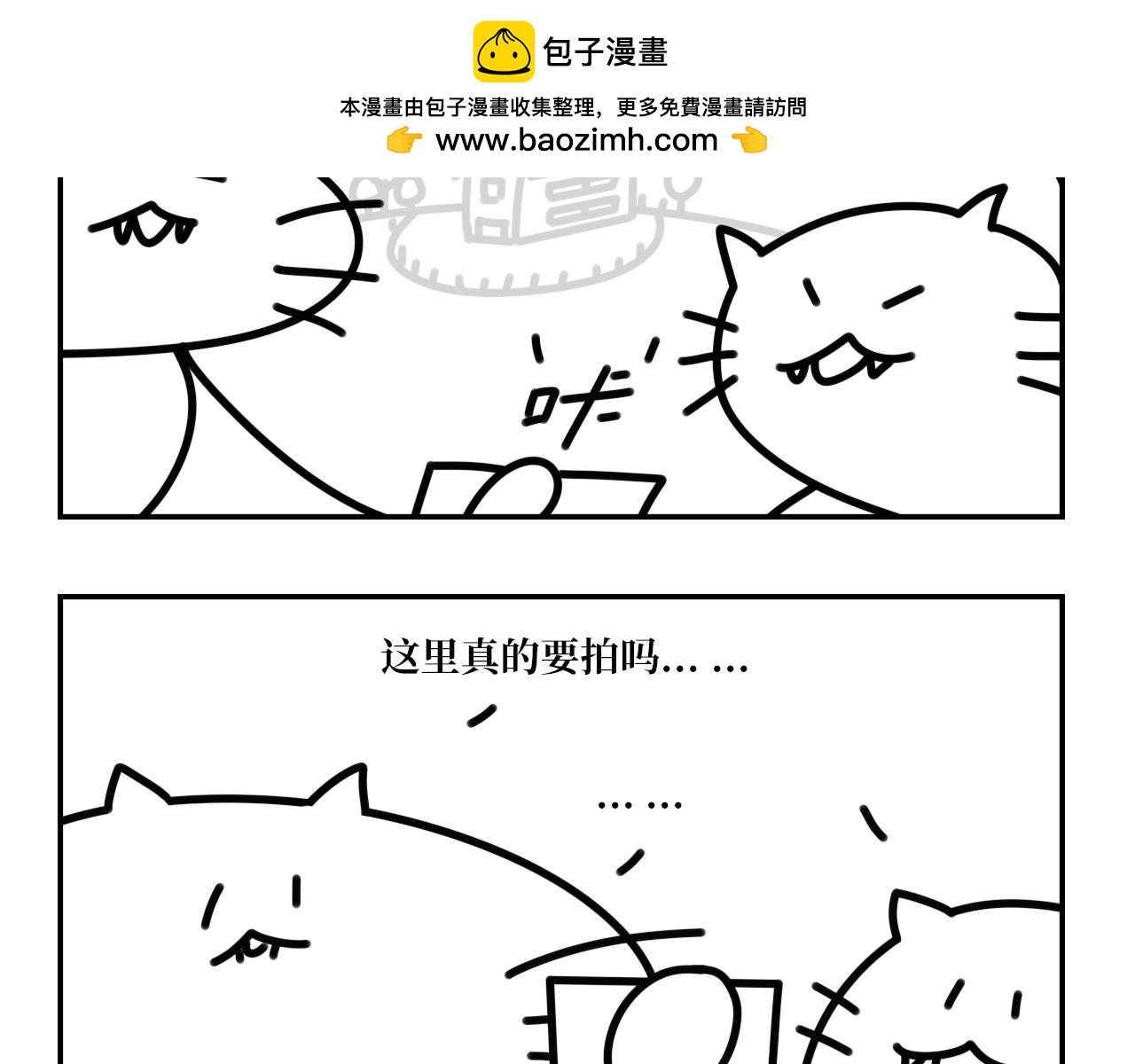 《长脸猫和小猫崽子》15.离别将至 第16页