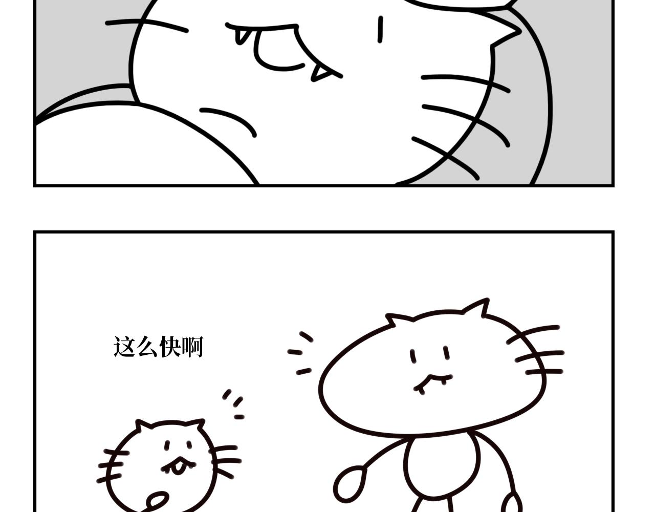 《长脸猫和小猫崽子》15.离别将至 第7页