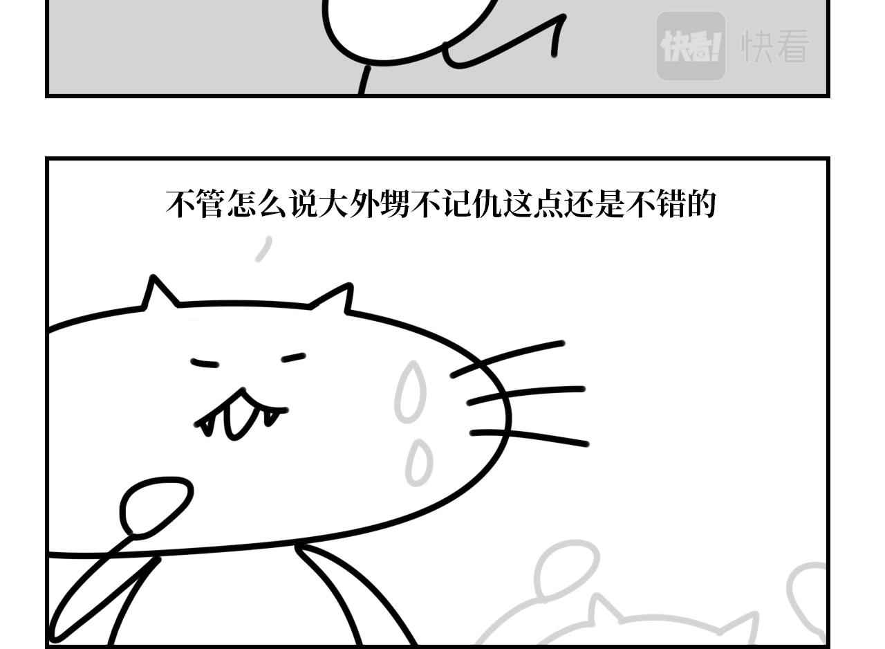 《长脸猫和小猫崽子》11.长脸猫的老照片 第12页