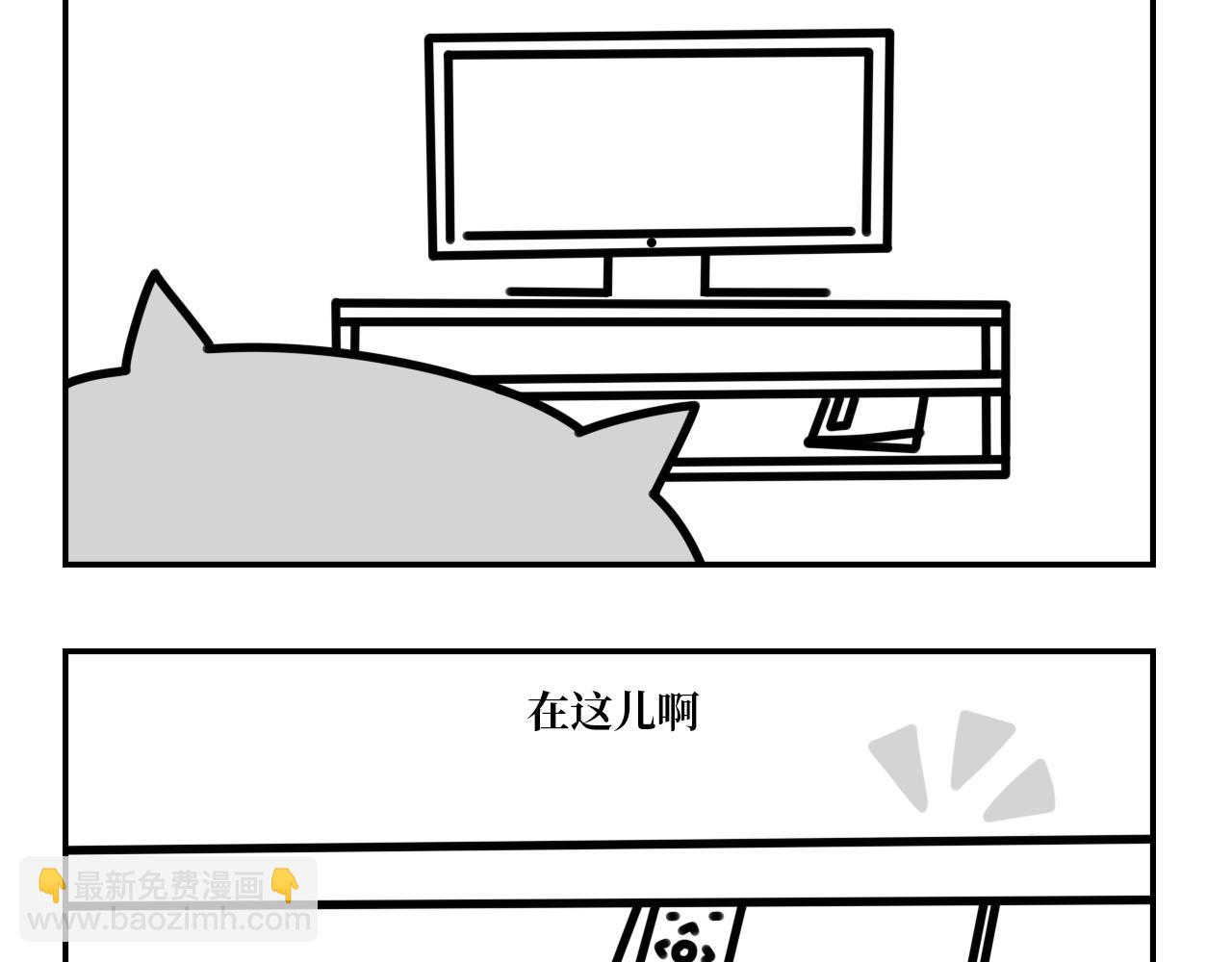 《长脸猫和小猫崽子》11.长脸猫的老照片 第14页