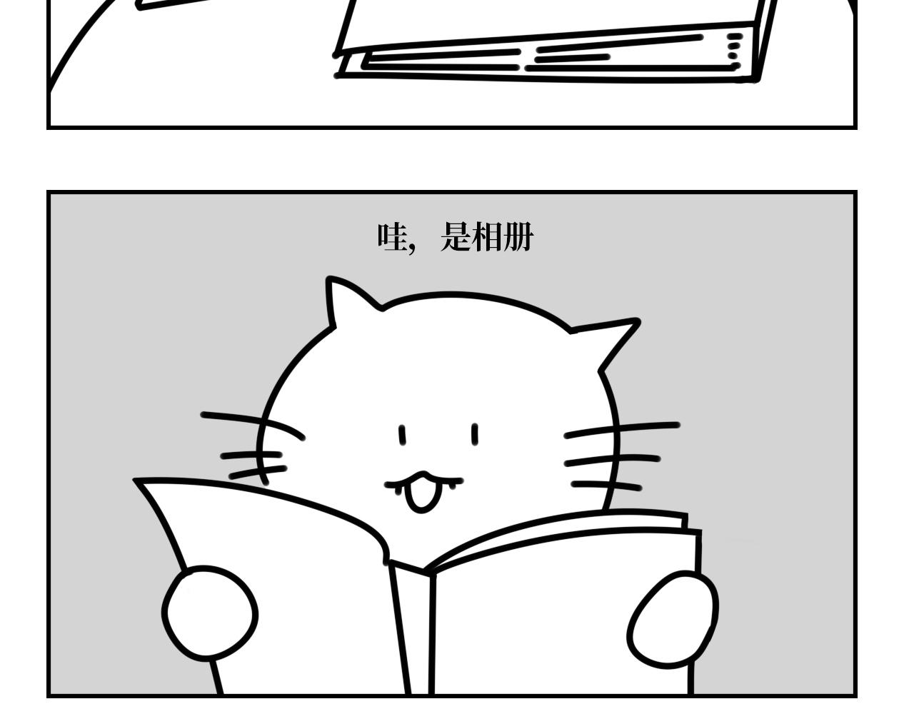 《长脸猫和小猫崽子》11.长脸猫的老照片 第16页