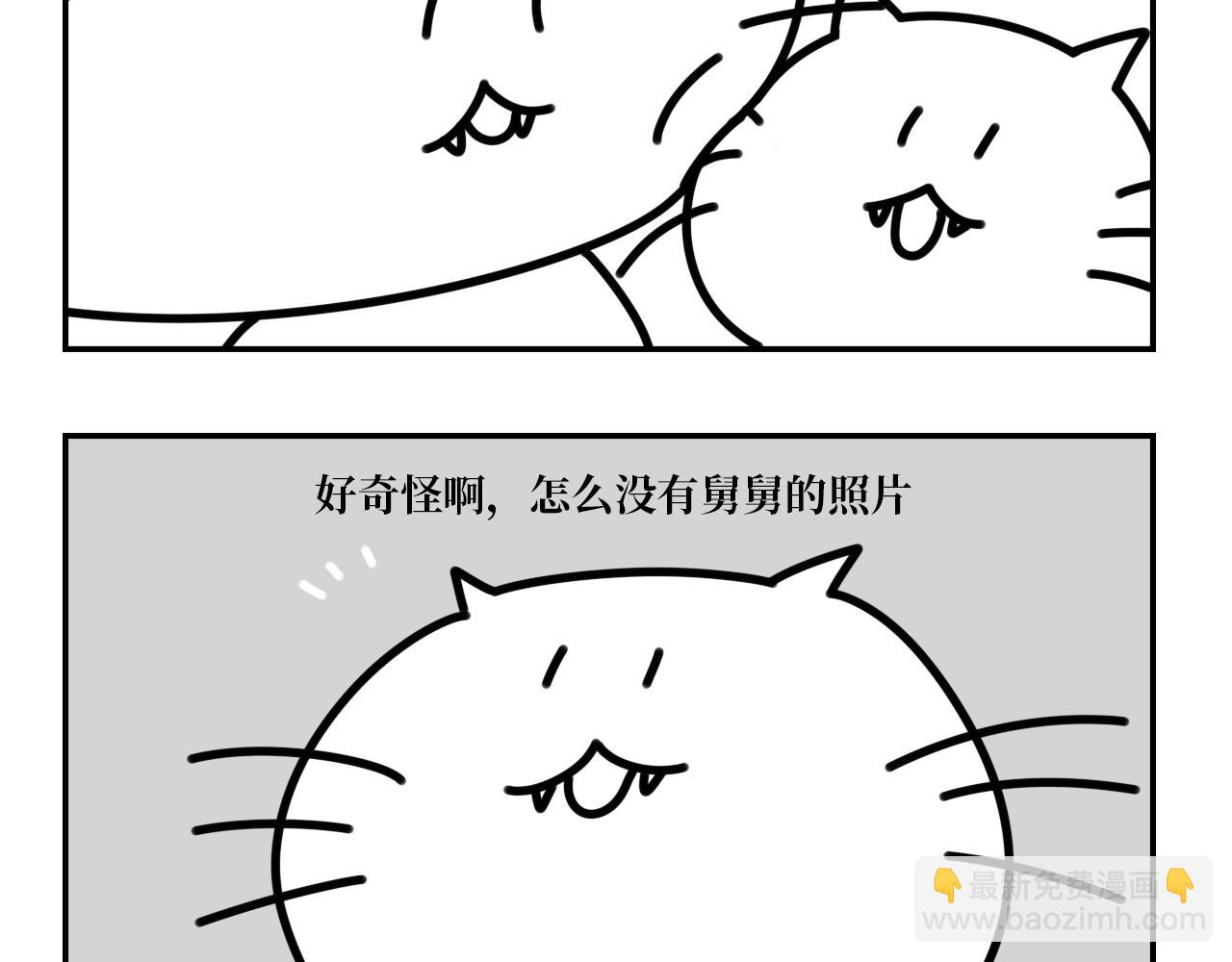 《长脸猫和小猫崽子》11.长脸猫的老照片 第19页