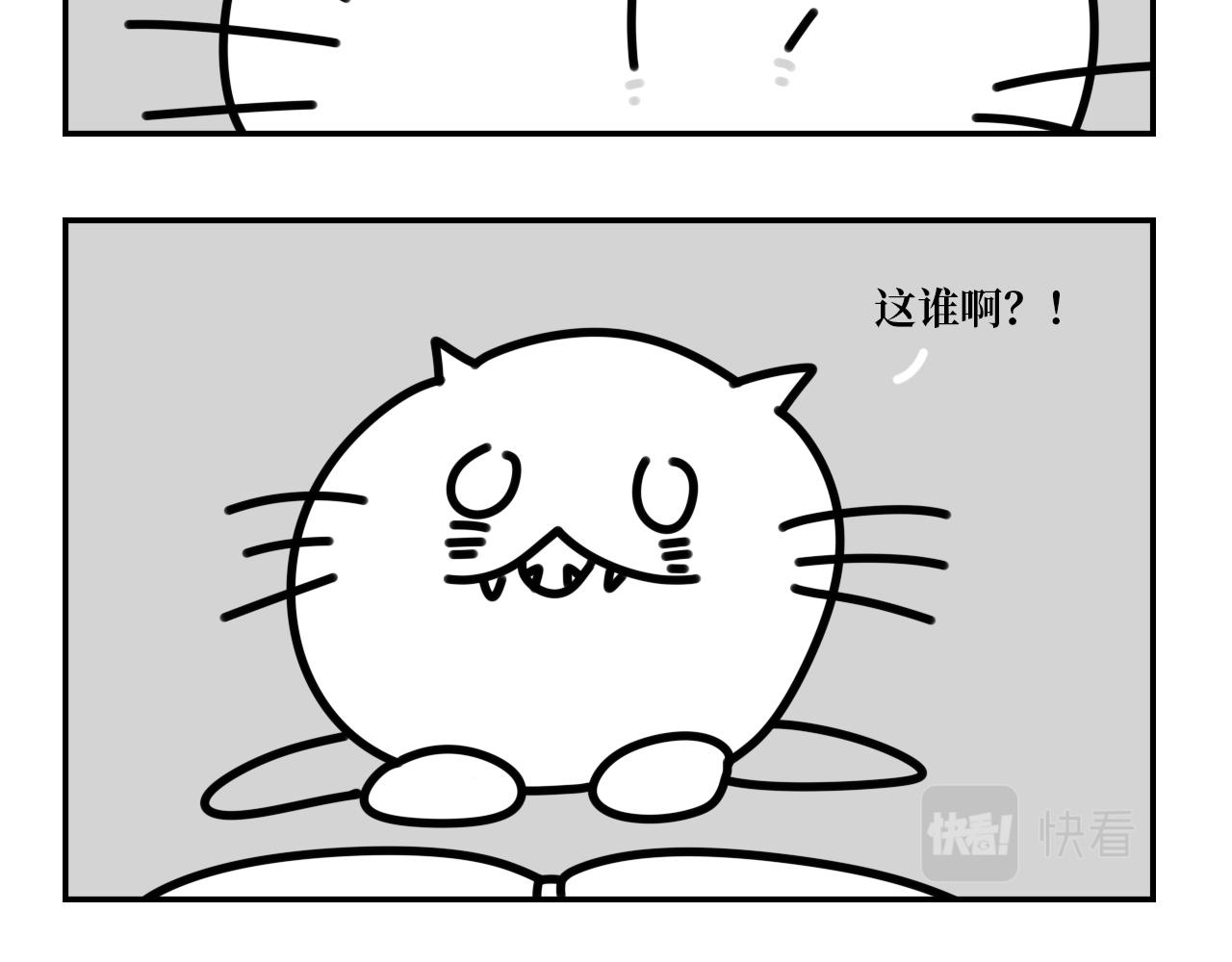 《长脸猫和小猫崽子》11.长脸猫的老照片 第24页