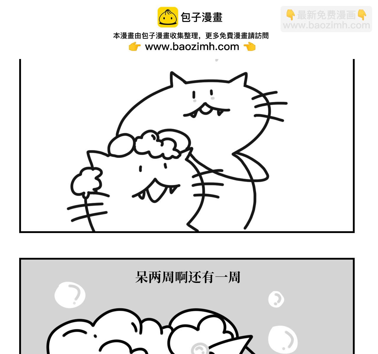 《长脸猫和小猫崽子》11.长脸猫的老照片 第2页