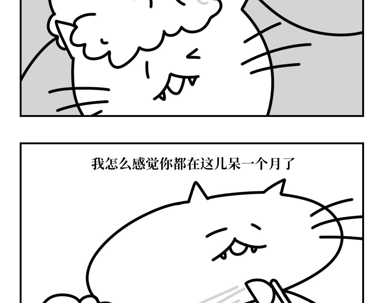 《长脸猫和小猫崽子》11.长脸猫的老照片 第3页