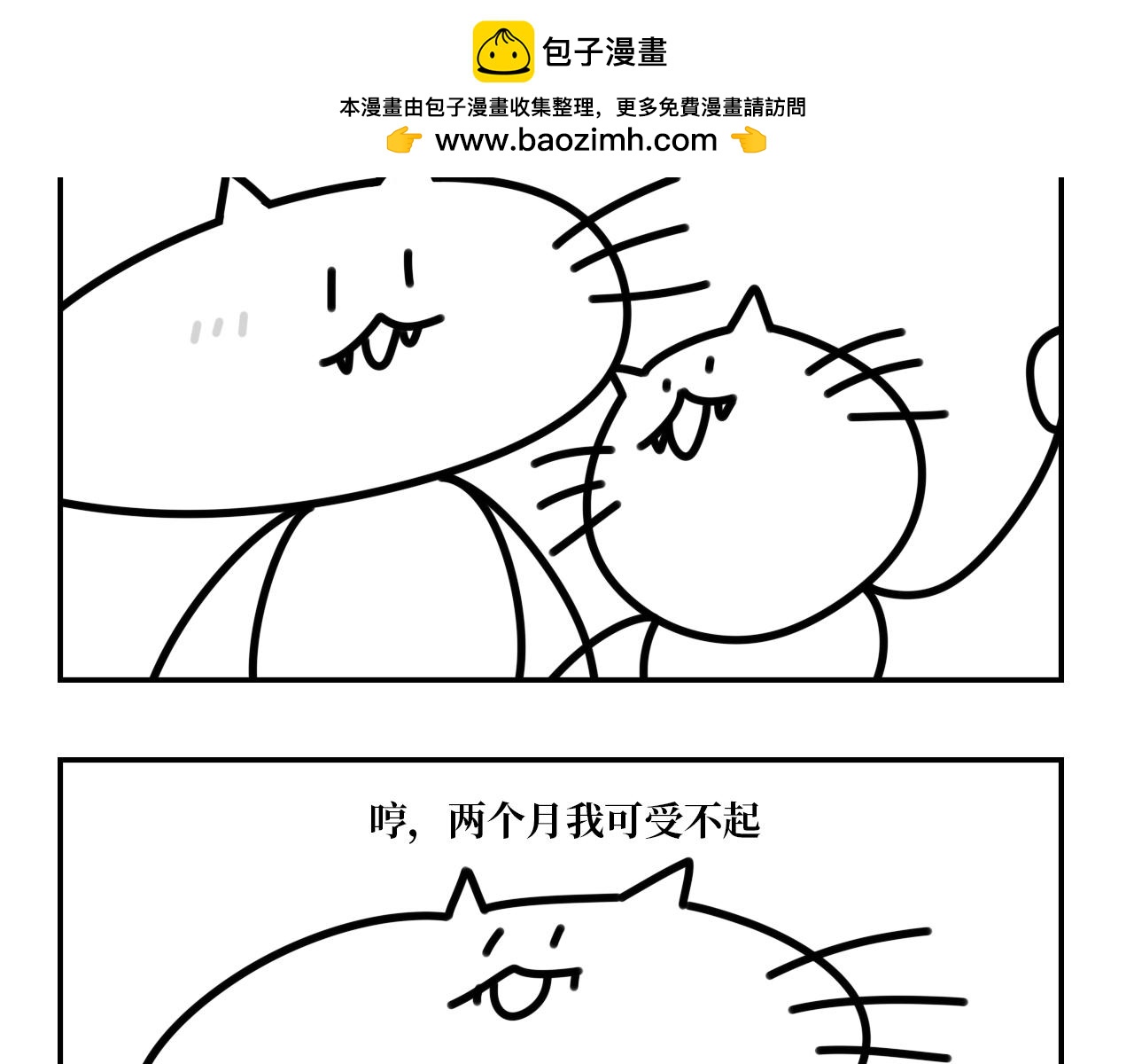 《长脸猫和小猫崽子》11.长脸猫的老照片 第6页