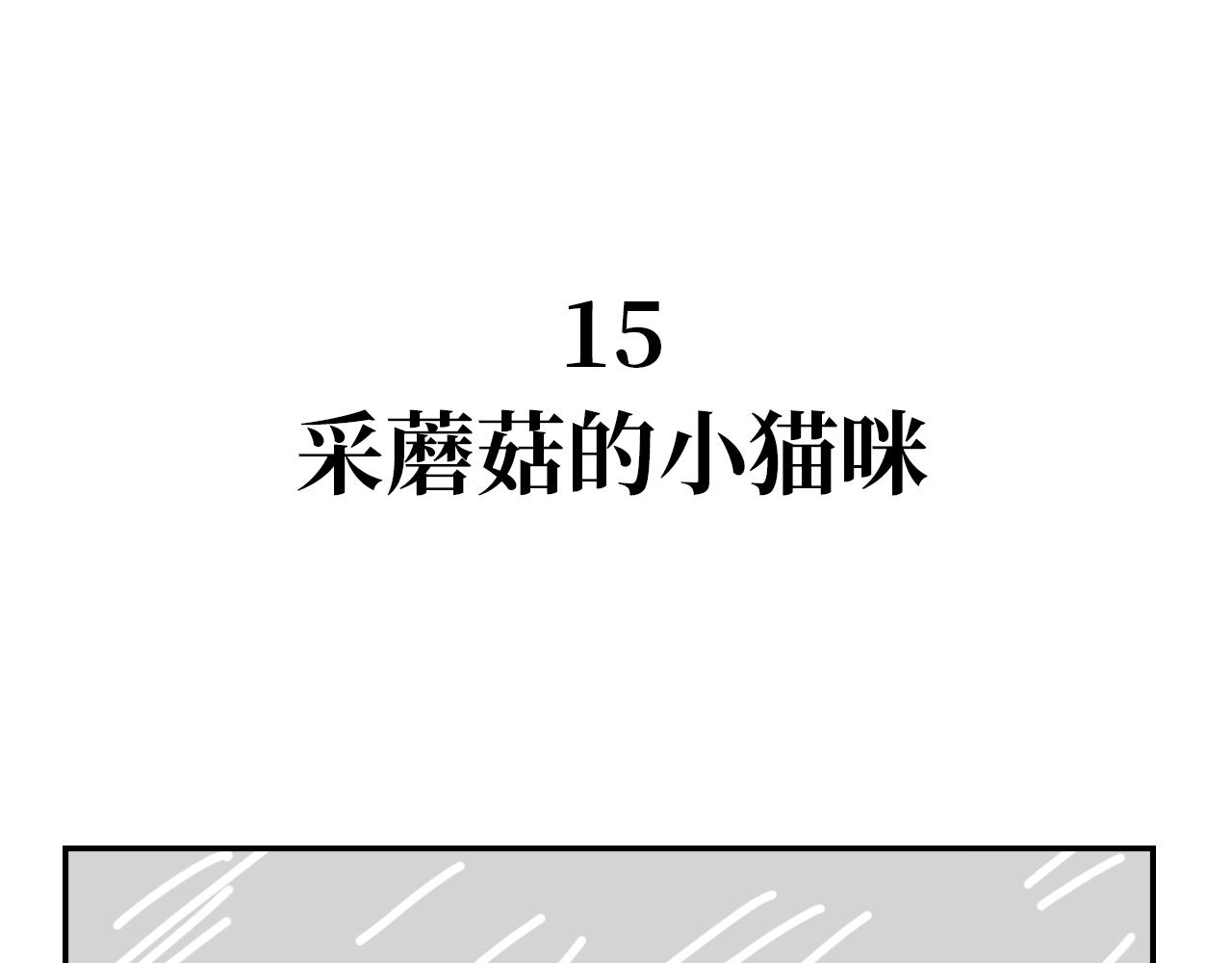 《长脸猫和小猫崽子》10.采蘑菇的小猫咪 第1页