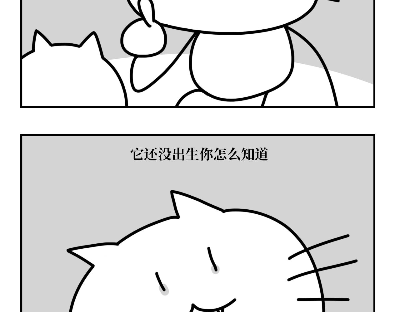 《长脸猫和小猫崽子》9.二猫天台谈心 第11页