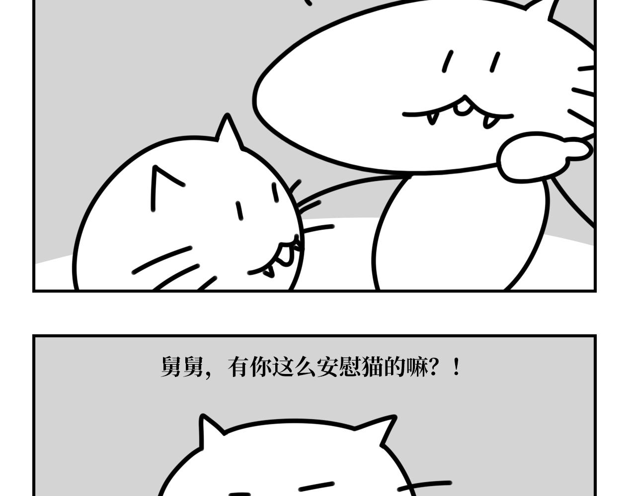 《长脸猫和小猫崽子》9.二猫天台谈心 第15页