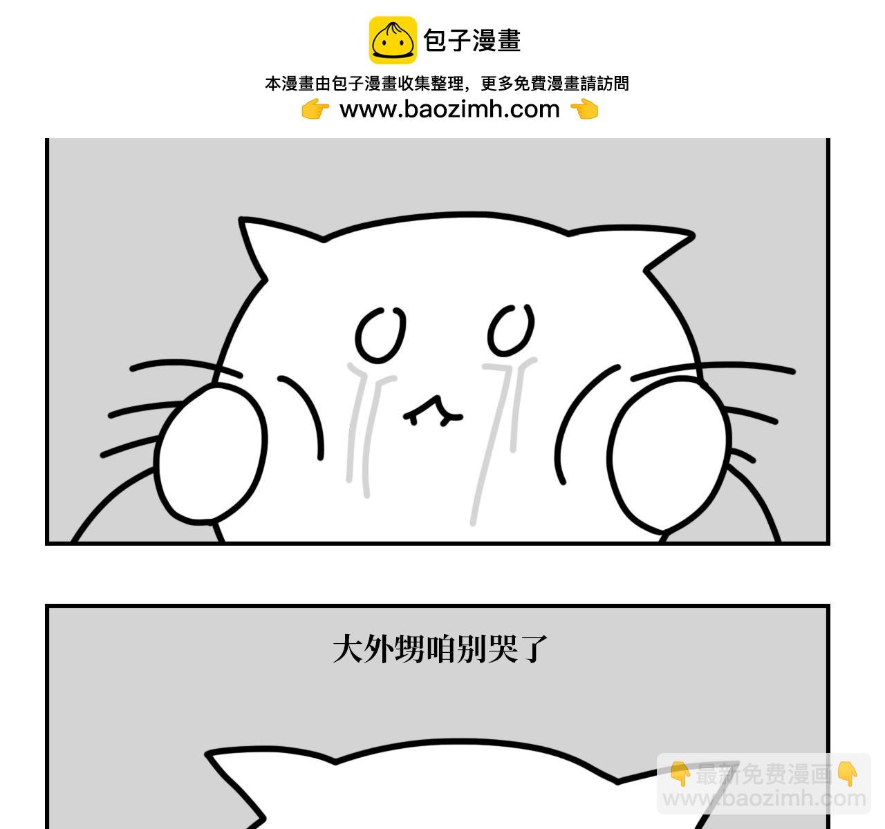 《长脸猫和小猫崽子》9.二猫天台谈心 第2页