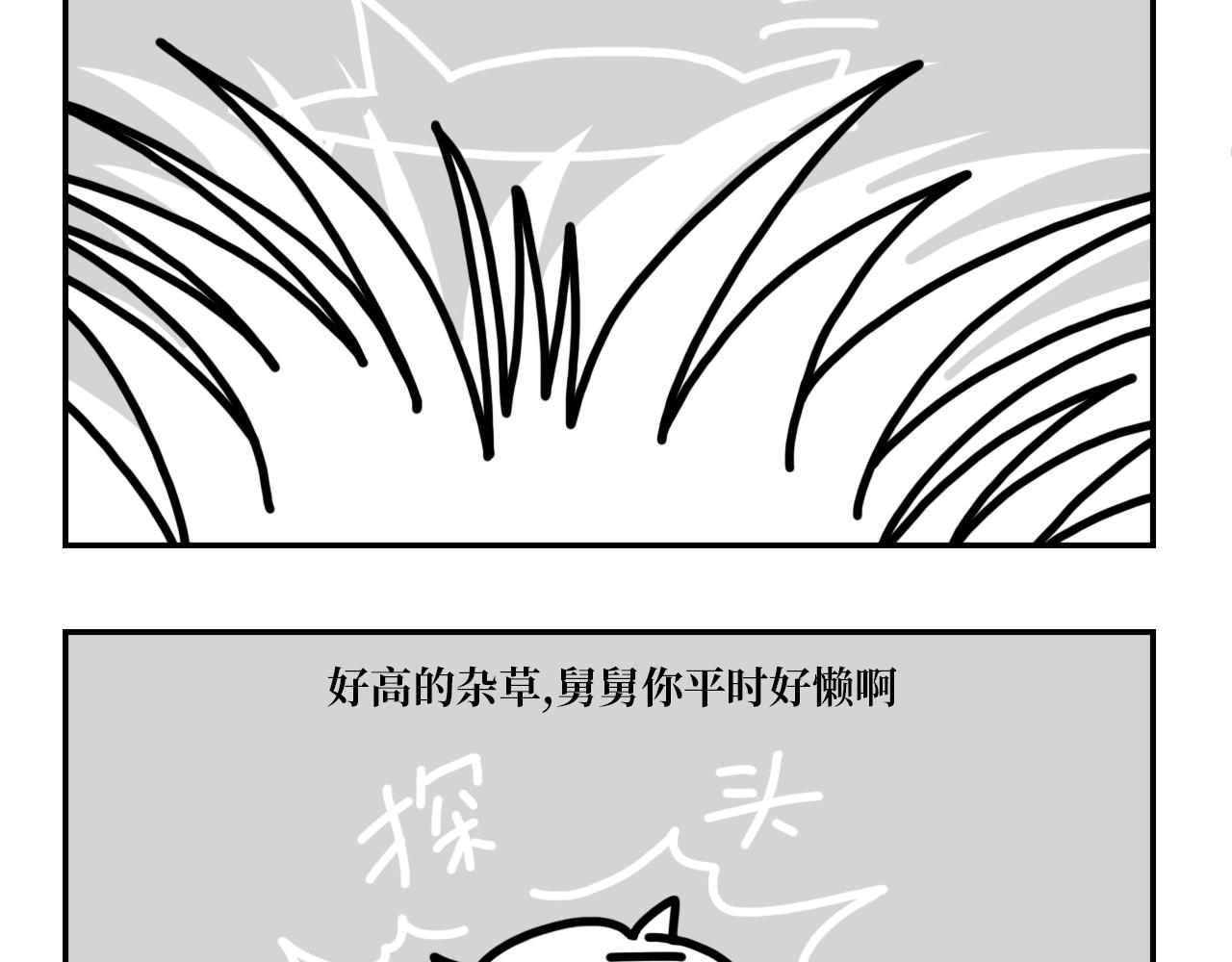 《长脸猫和小猫崽子》5.猫崽的童言无忌 第6页