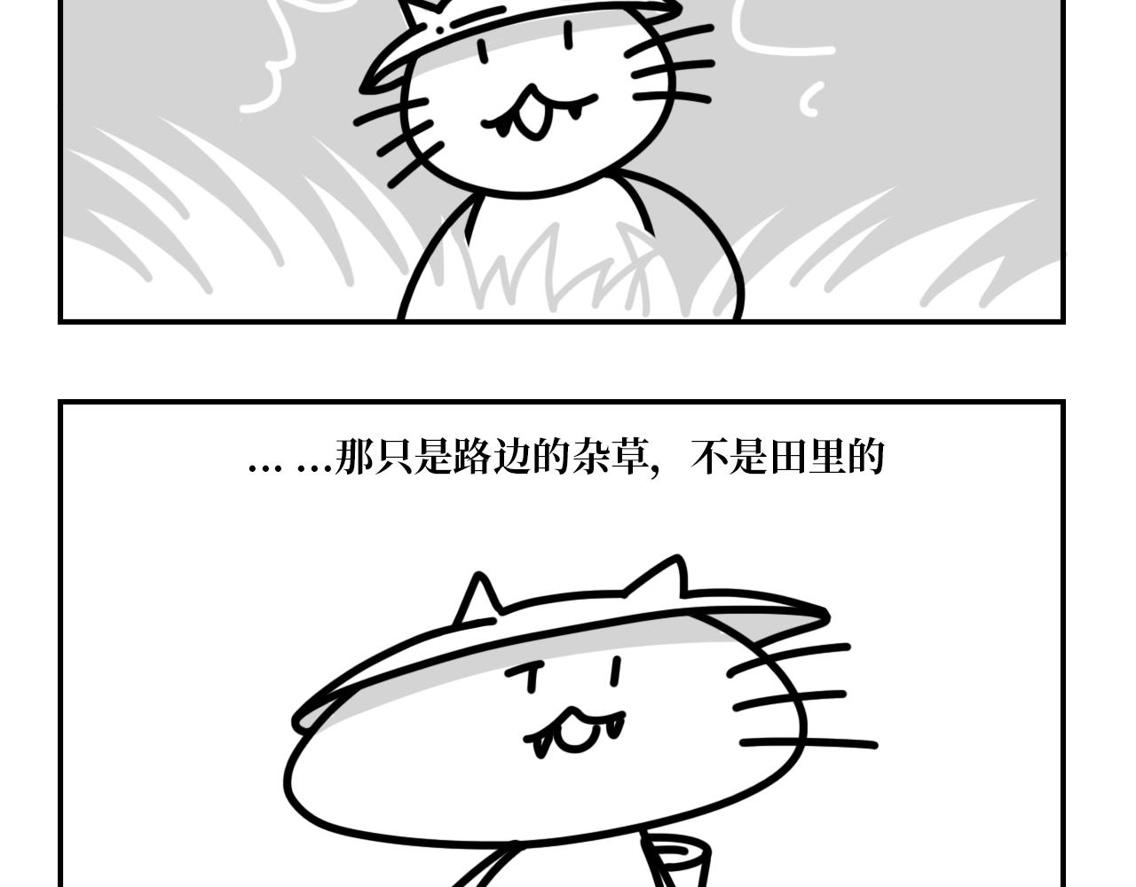 《长脸猫和小猫崽子》5.猫崽的童言无忌 第7页