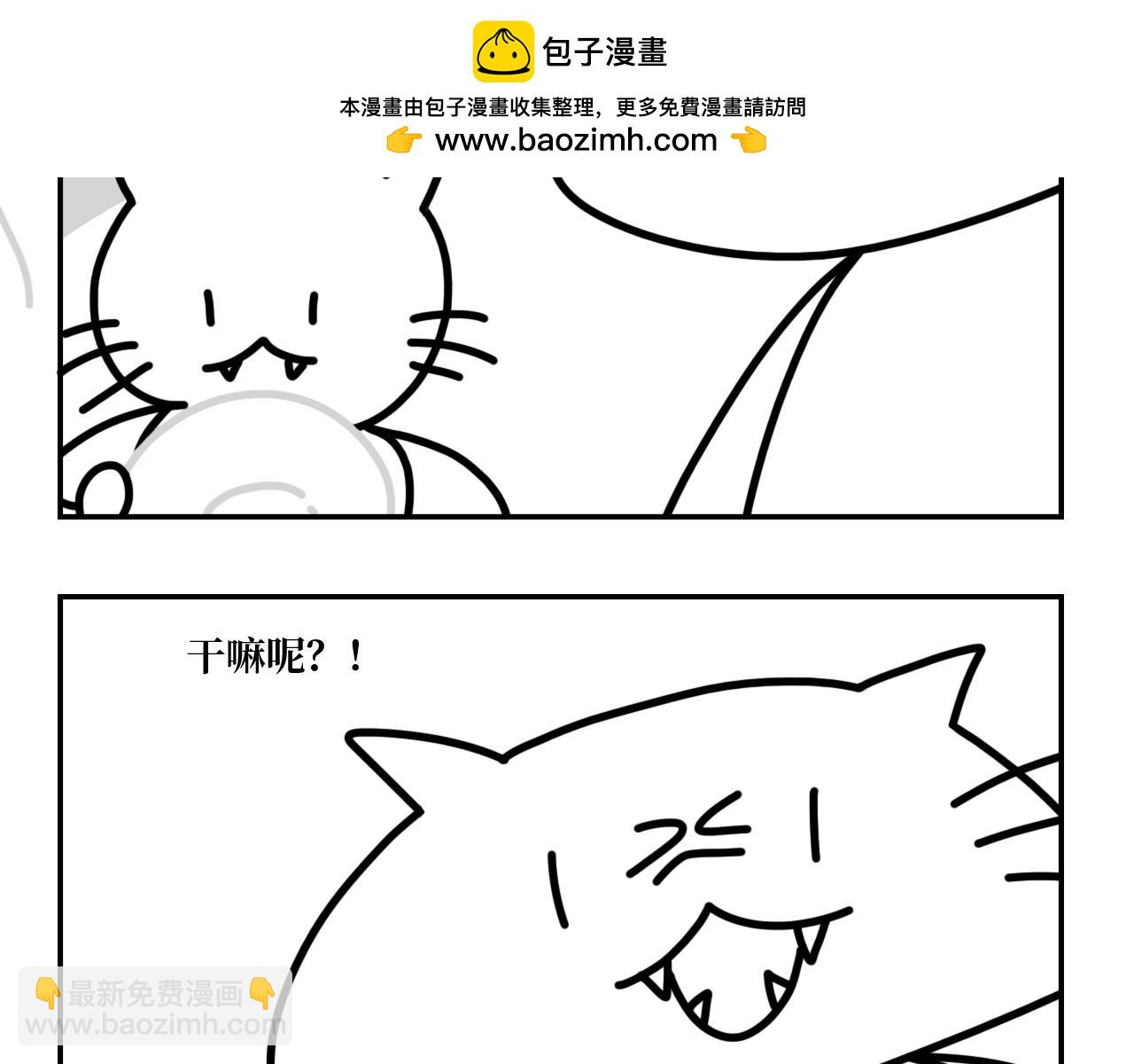 《长脸猫和小猫崽子》4.闻之色变的小猫崽 第16页