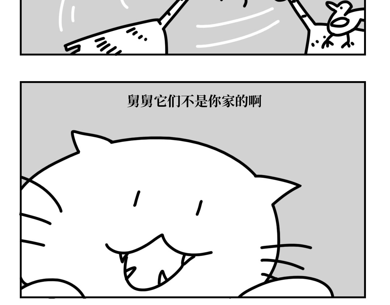 《长脸猫和小猫崽子》4.闻之色变的小猫崽 第4页