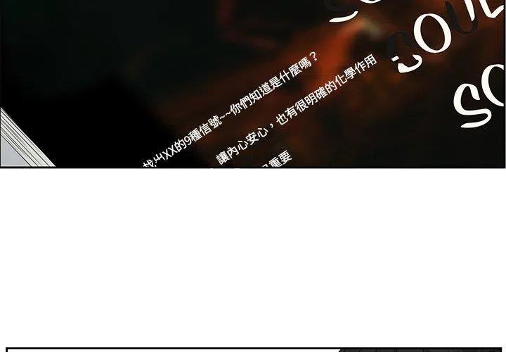 《恋爱新手》12 第3页