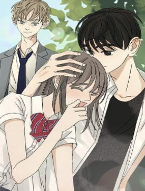 《恋爱新手》漫画封面图 - tl漫画