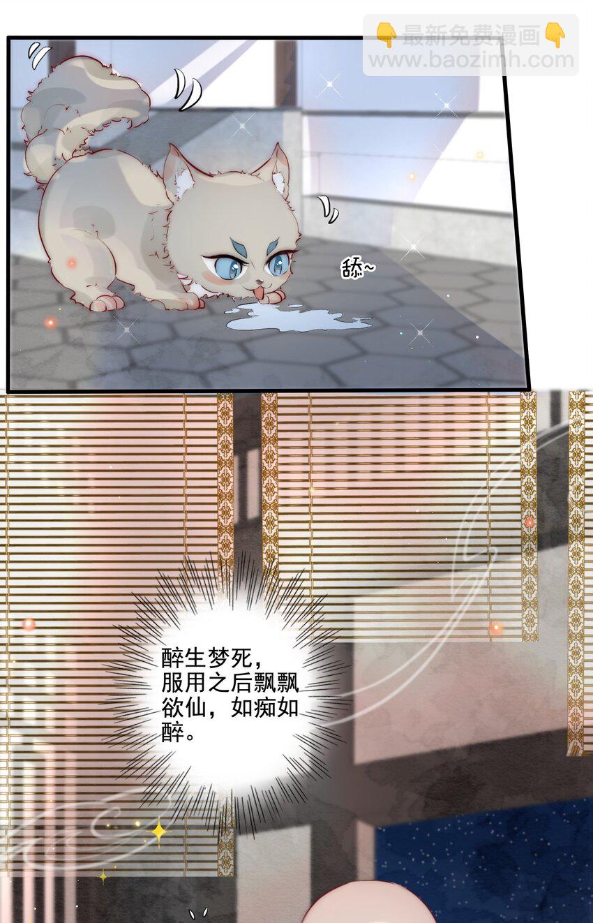 《反派和尚又在装柔弱白莲》14 换个男主吧 第4页