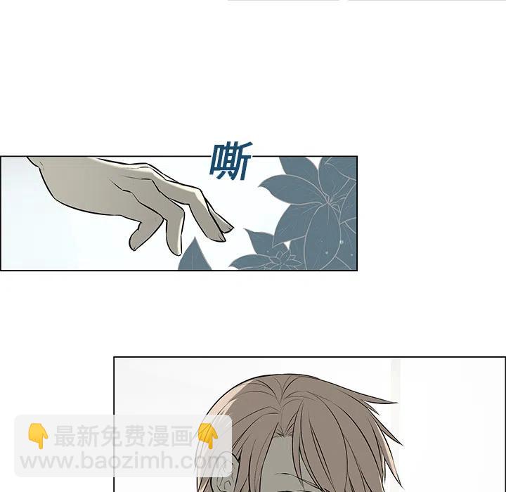 《Settia》3 第20页