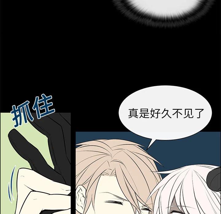 《Settia》4 第15页