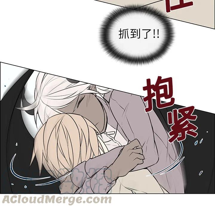 《Settia》4 第31页