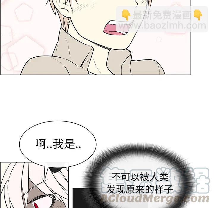 《Settia》4 第37页