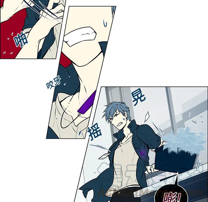 《Settia》1 第19页