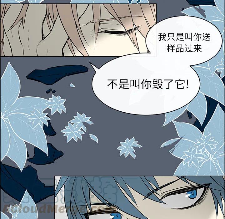 《Settia》1 第22页