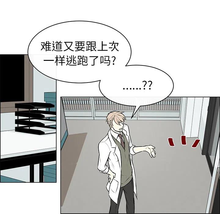 《Settia》1 第29页