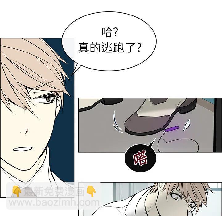 《Settia》1 第32页