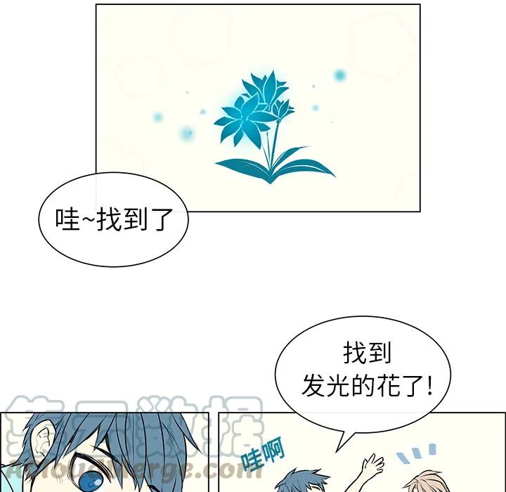 《Settia》2 第34页