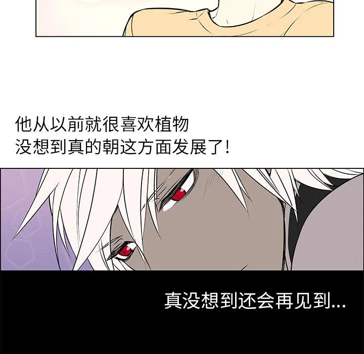 《Settia》2 第36页