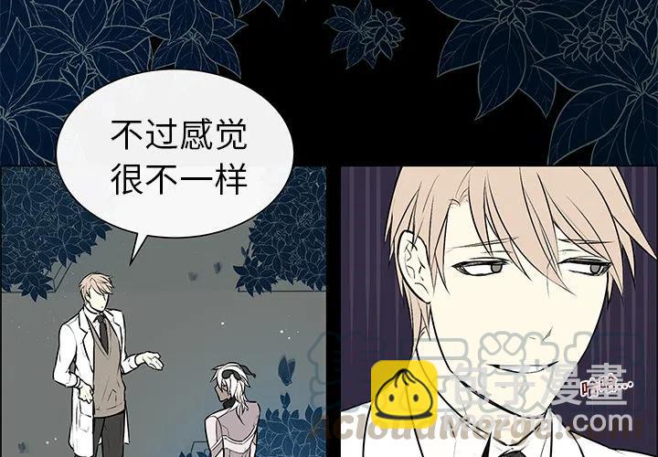 《Settia》5 第4页
