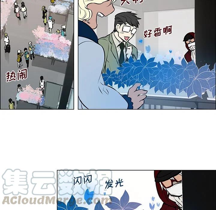 《Settia》8 第37页